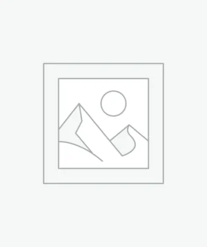 عنصر نائب Placeholder